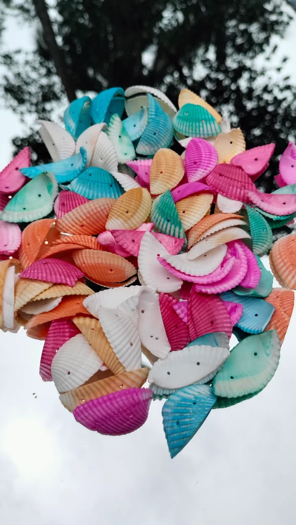 Decorative Colored Sea Shells