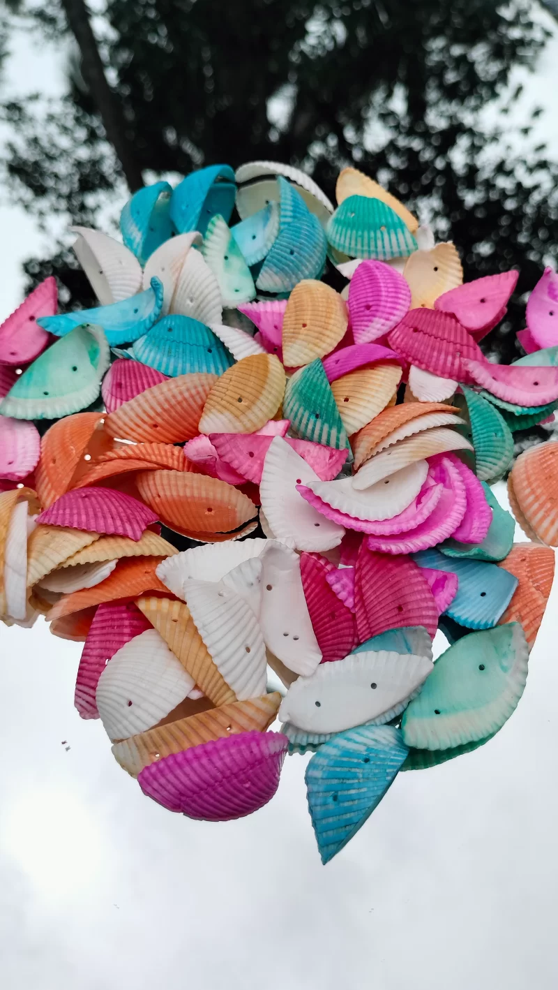 Decorative Colored Sea Shells
