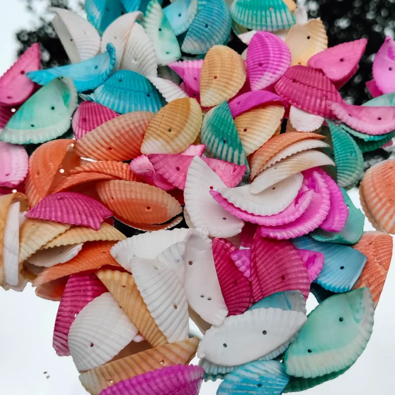Decorative Colored Sea Shells