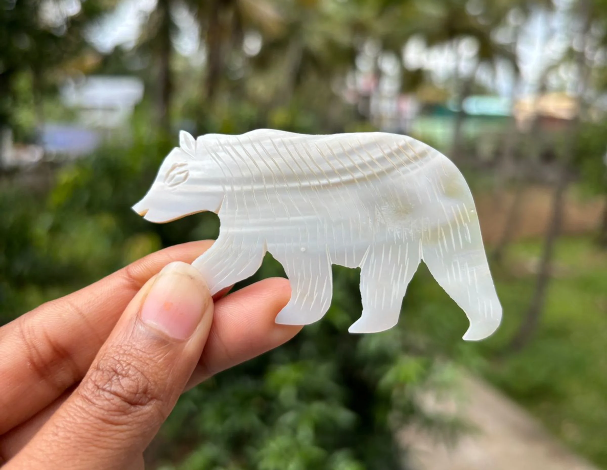 Bear Shape Mother of Pearl Shell – Carved MOP Shell for Crafts & Jewelry